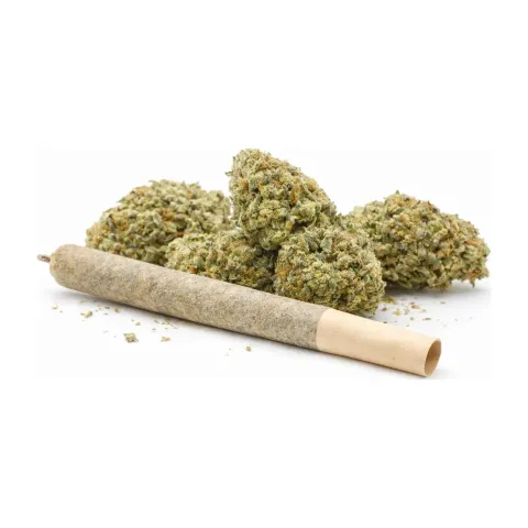 Pre-roll 10-OH-HHC Fiore Sorbetto