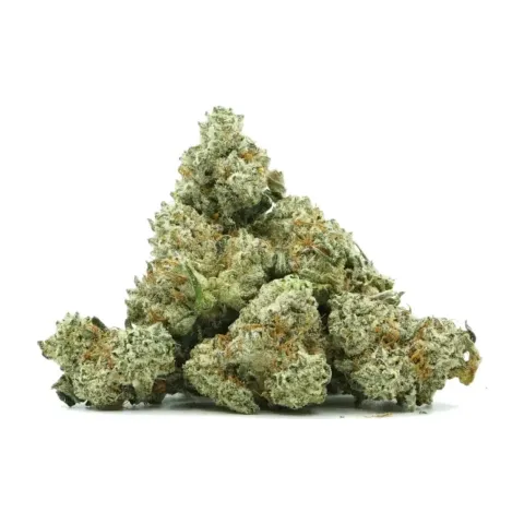 Fiore Sugar Cream GBZ