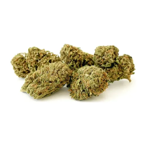 10-OH-HHC Fiore Sorbetto