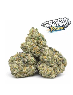 Esclusiva Gbz Prime – THCX Papaya Punch – vista principale