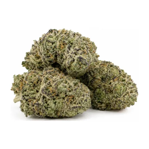THCX Fiore White Widow