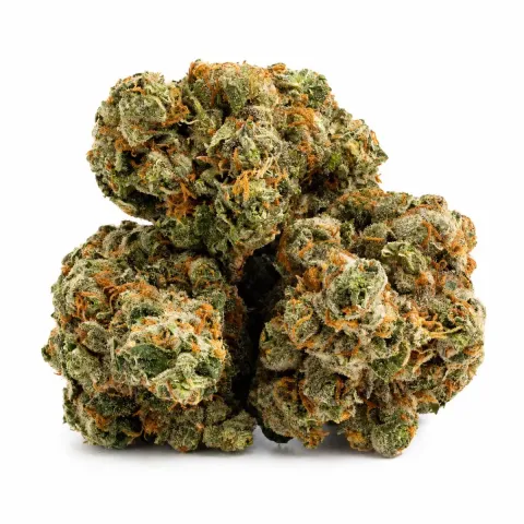 THCX Fiore Mystic Mango