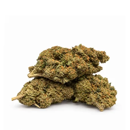 THCX Fiori Orangelo