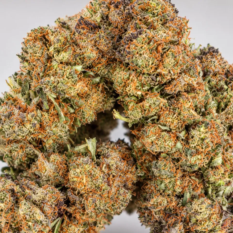 THCX Fiori Premium OG Kush