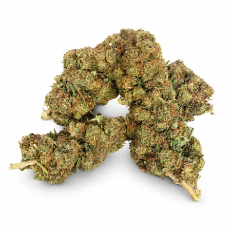 THCX Fiori Premium OG Kush